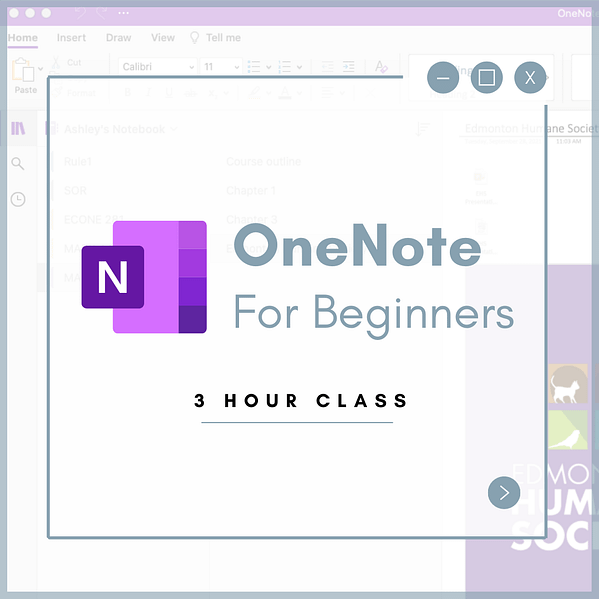 OneNote for beginners training course